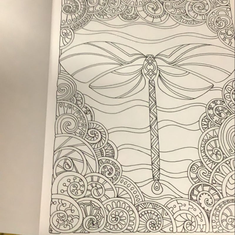 Creative Haven Entangled Dragonflies Coloring Book