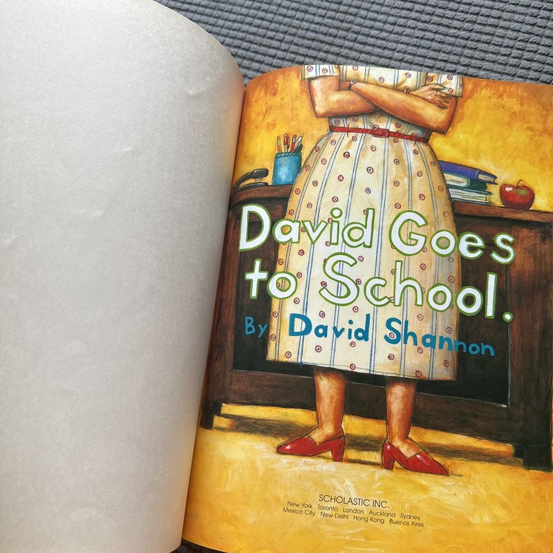 David Goes to School 