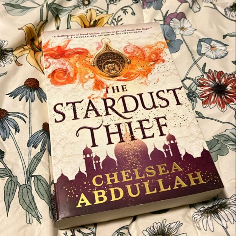 The Stardust Thief