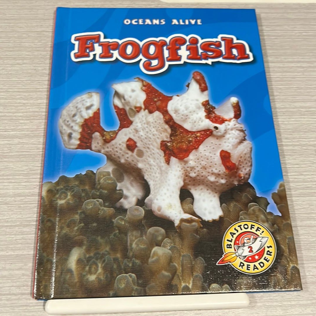 Frogfish