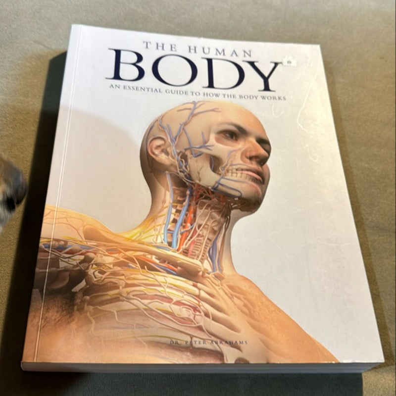 The human body 