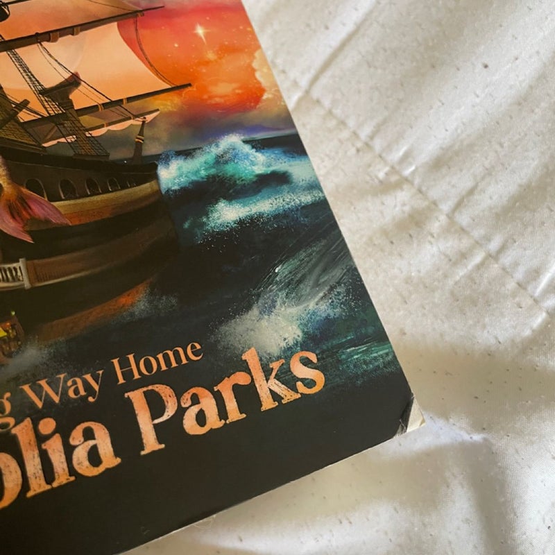 Magnolia Parks: the Long Way Home
