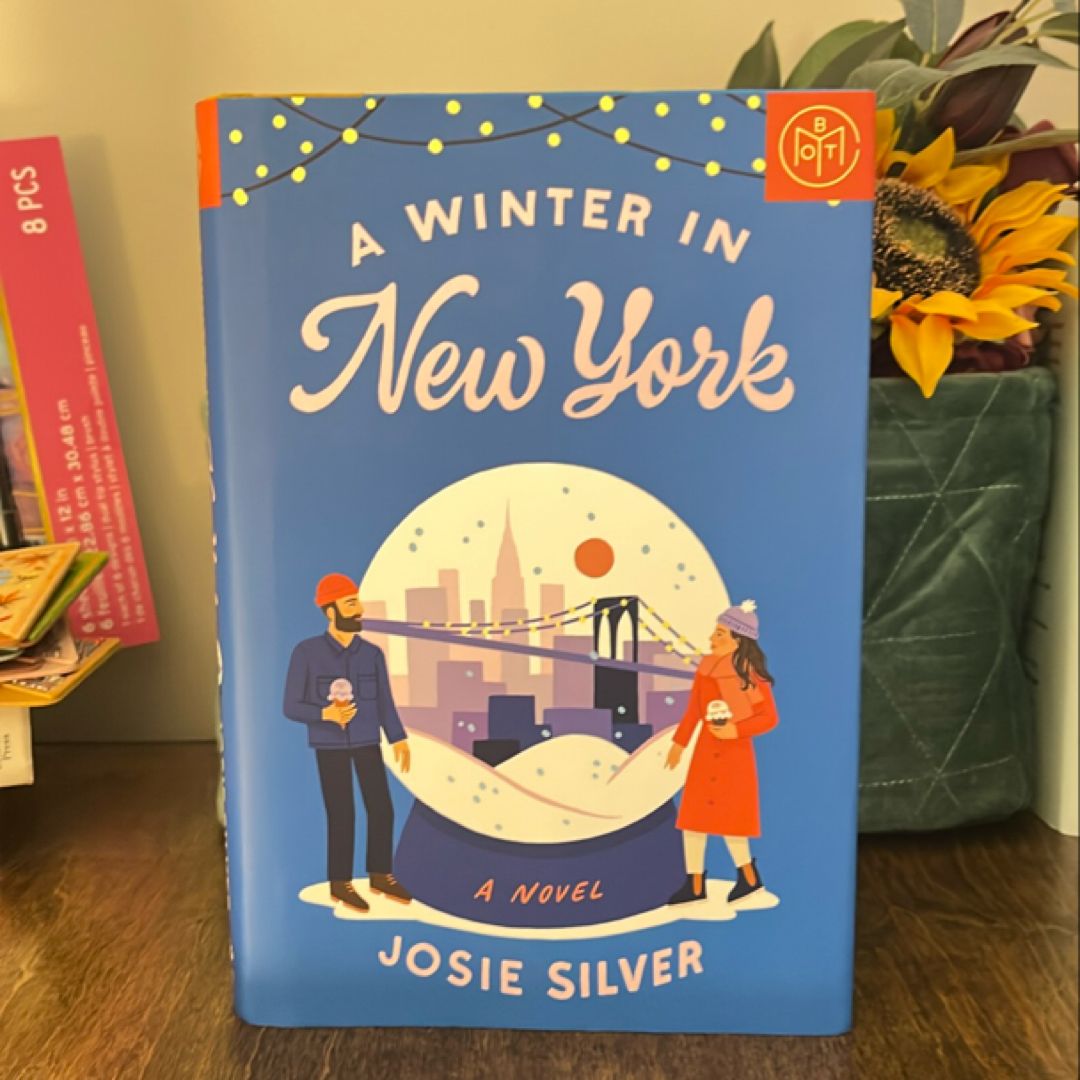 A Winter in New York