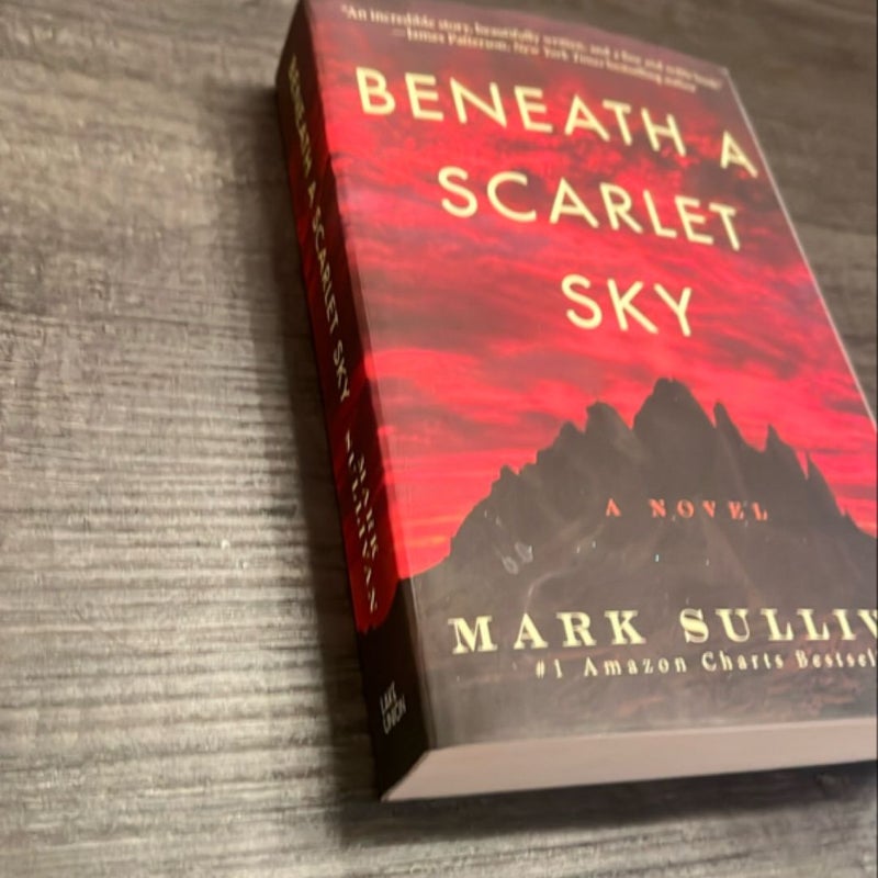 Beneath a Scarlet Sky