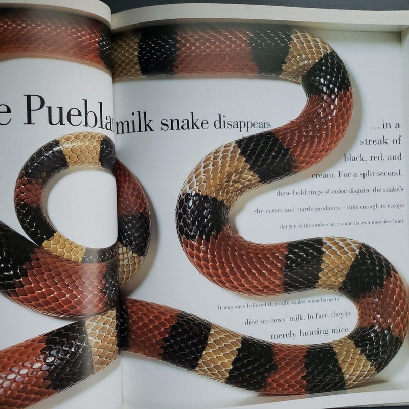 The Snake Book