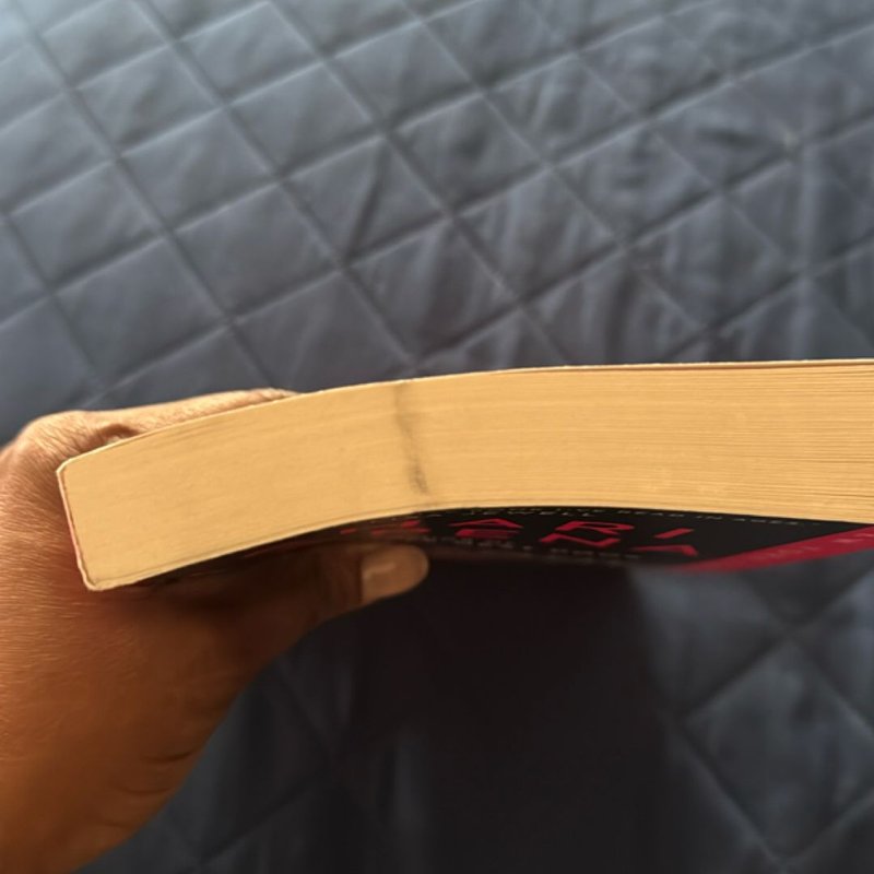 Everyone Here Is Lying