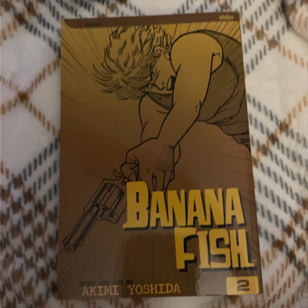 Banana Fish, Vol. 2