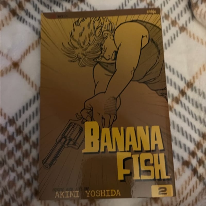Banana Fish, Vol. 2