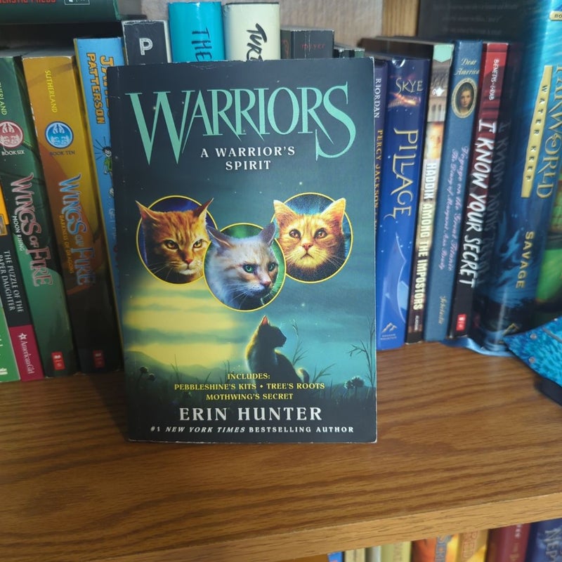 Warriors: a Warrior's Spirit