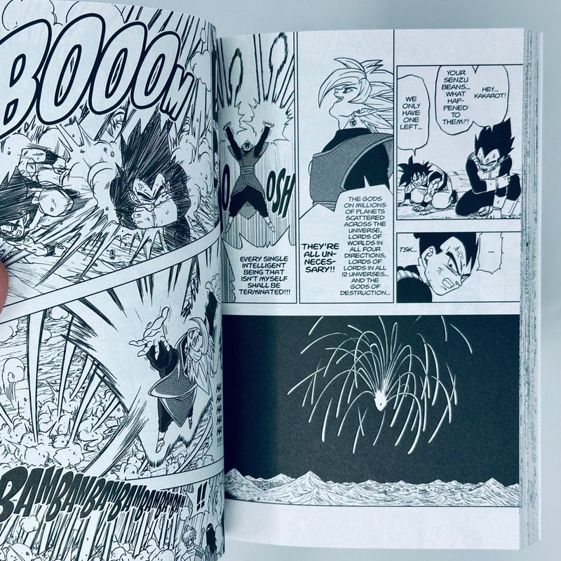 Dragon Ball Super, Vol. 4