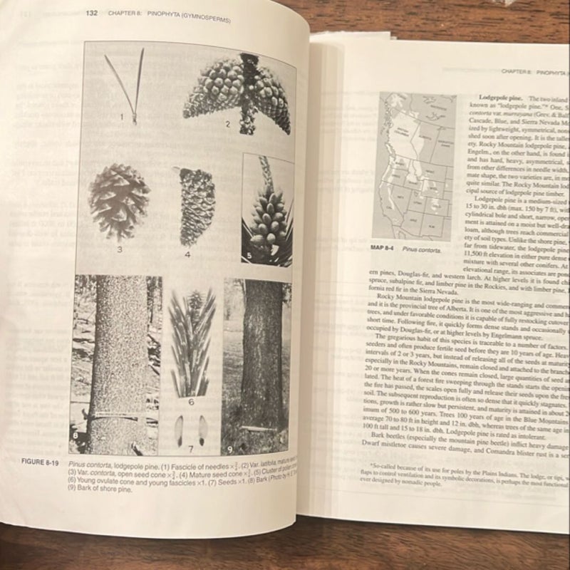 Harlow and Harrar's Textbook of Dendrology