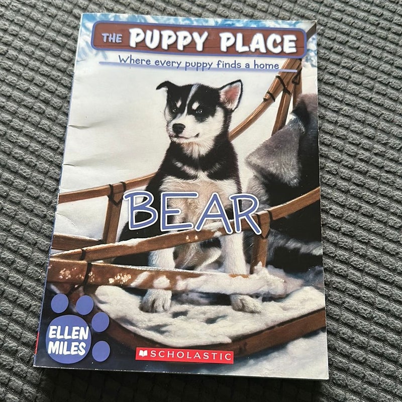 The Puppy Palace: Bear