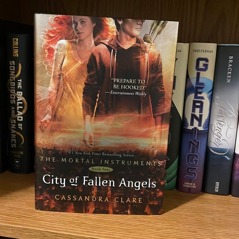 City of Fallen Angels