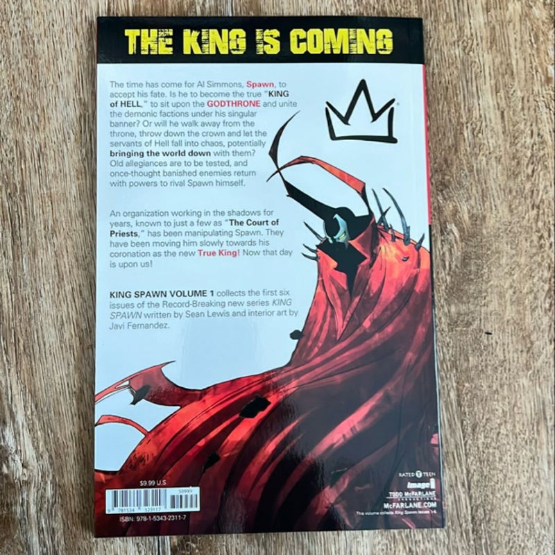 King Spawn, Volume 1 (alternate cover)