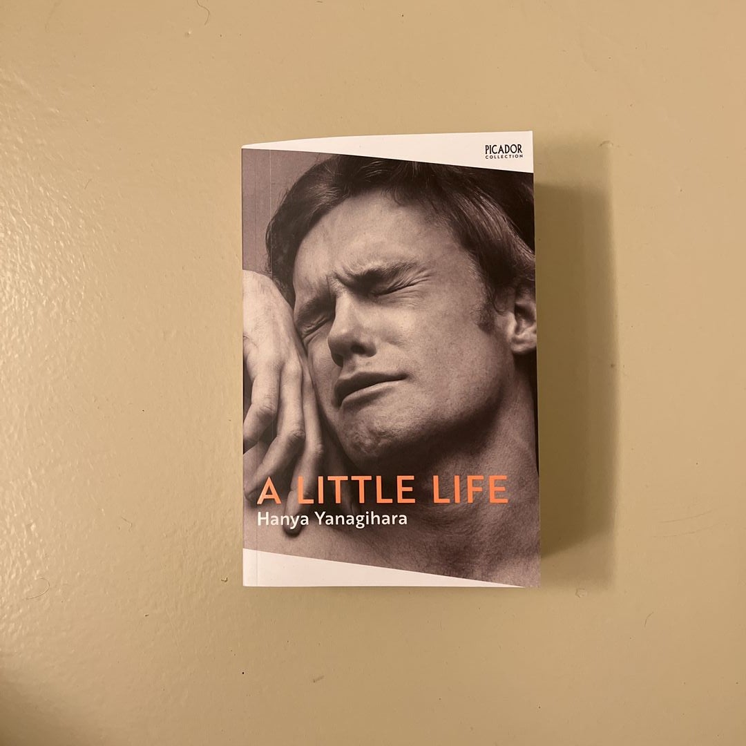 A Little Life