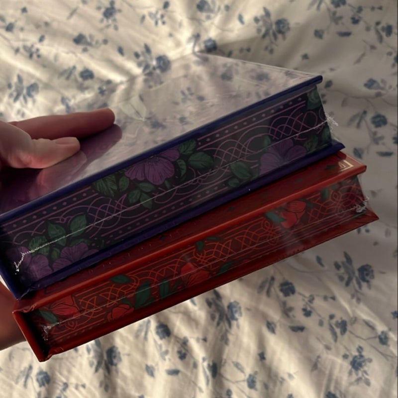 Powerless & Reckless *Bookish Box Editions*