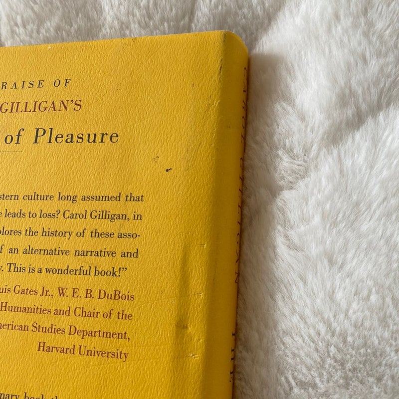 The Birth of Pleasure