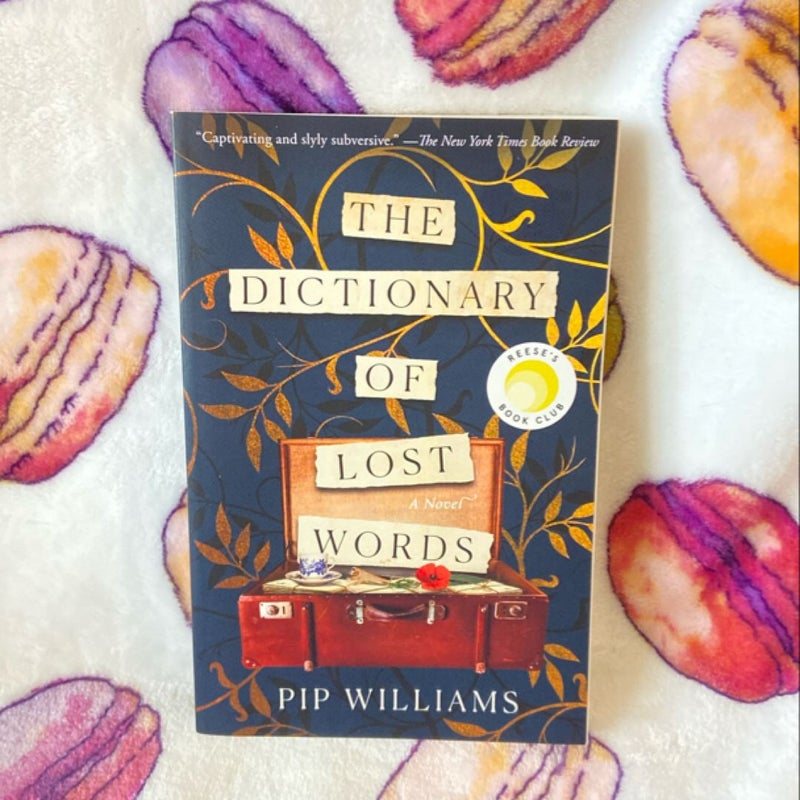 The Dictionary of Lost Words