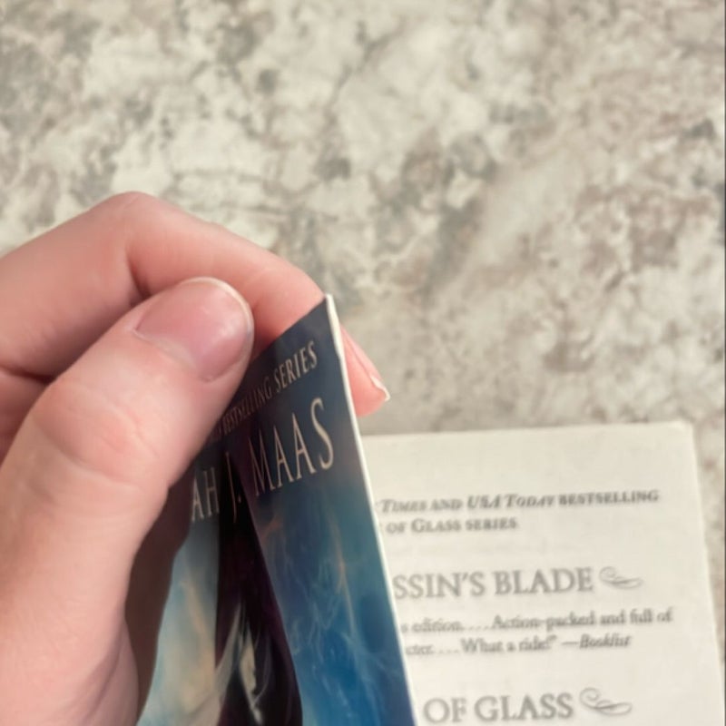 The Assassin's Blade - OOP cover