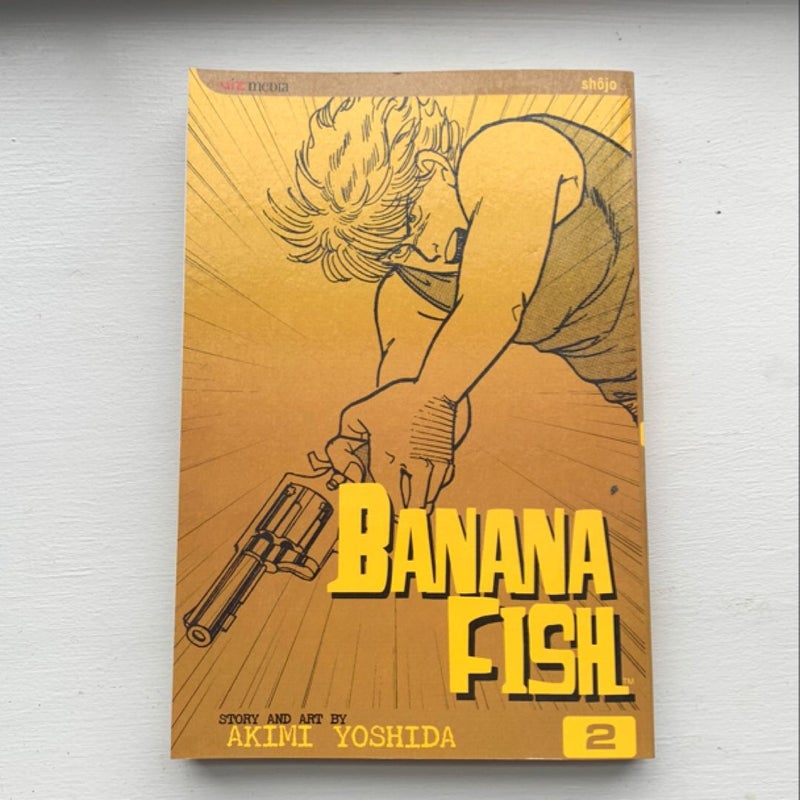 Banana Fish, Vol. 2