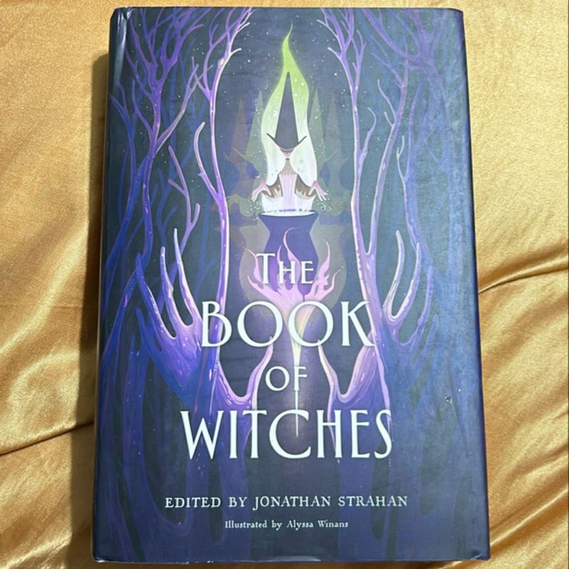 The Book of Witches