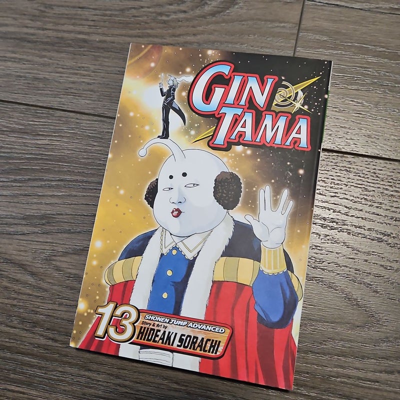 Gin Tama, Vol. 13