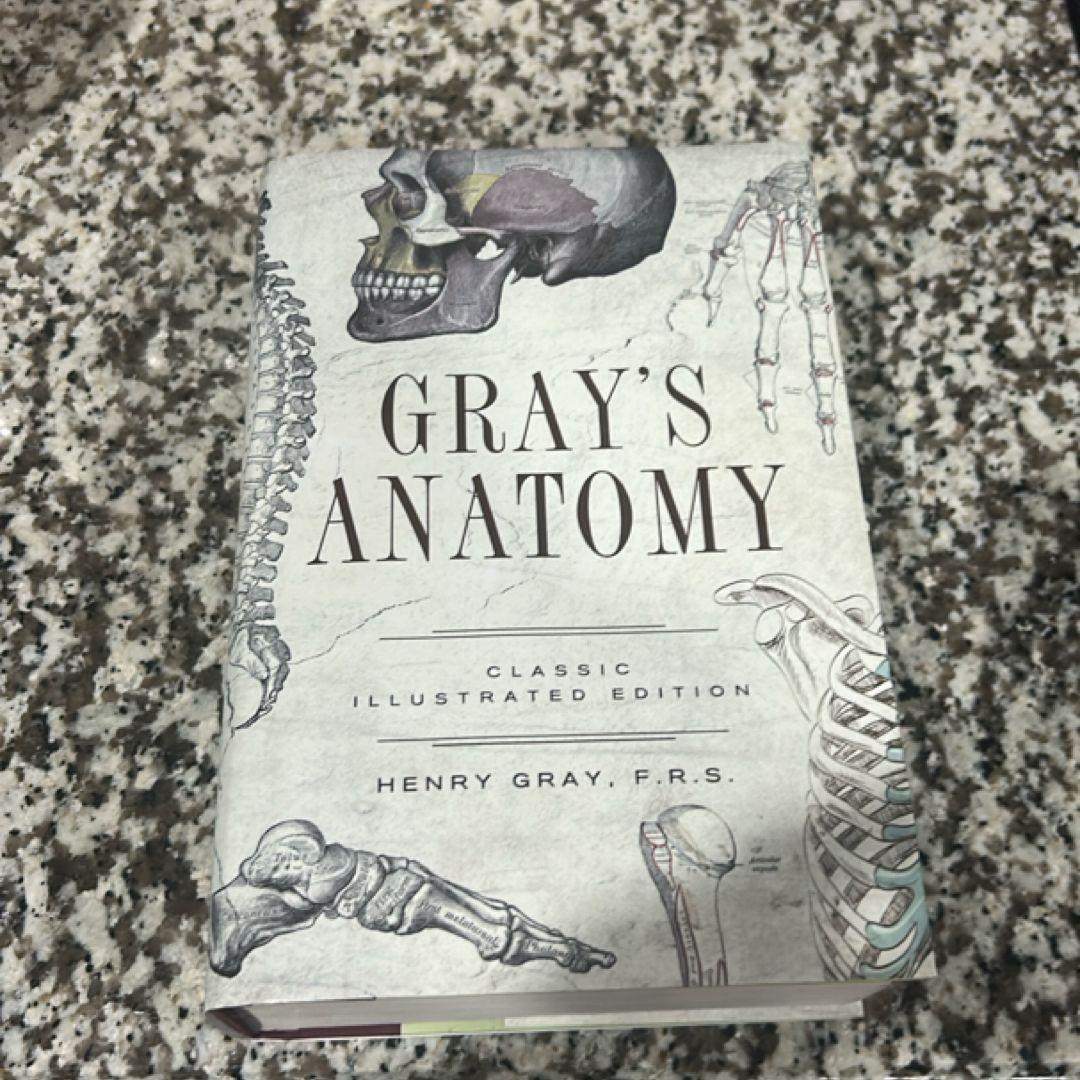 Gray's Anatomy