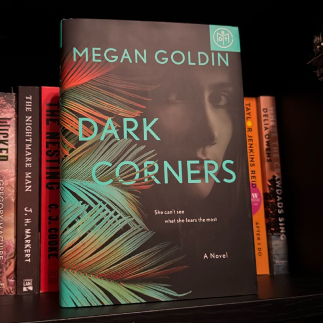 Dark Corners by Megan Goldin, Hardcover Pangobooks