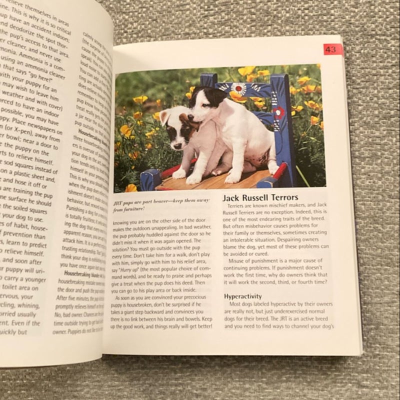 The Jack Russell Terrier Handbook