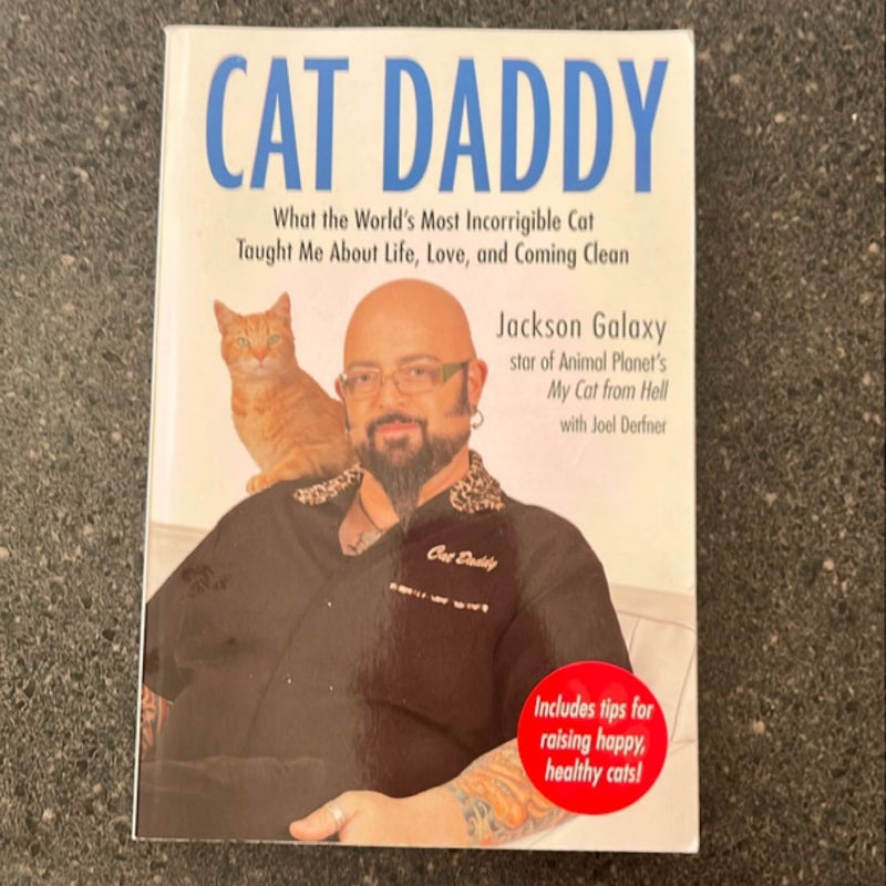 Cat Daddy