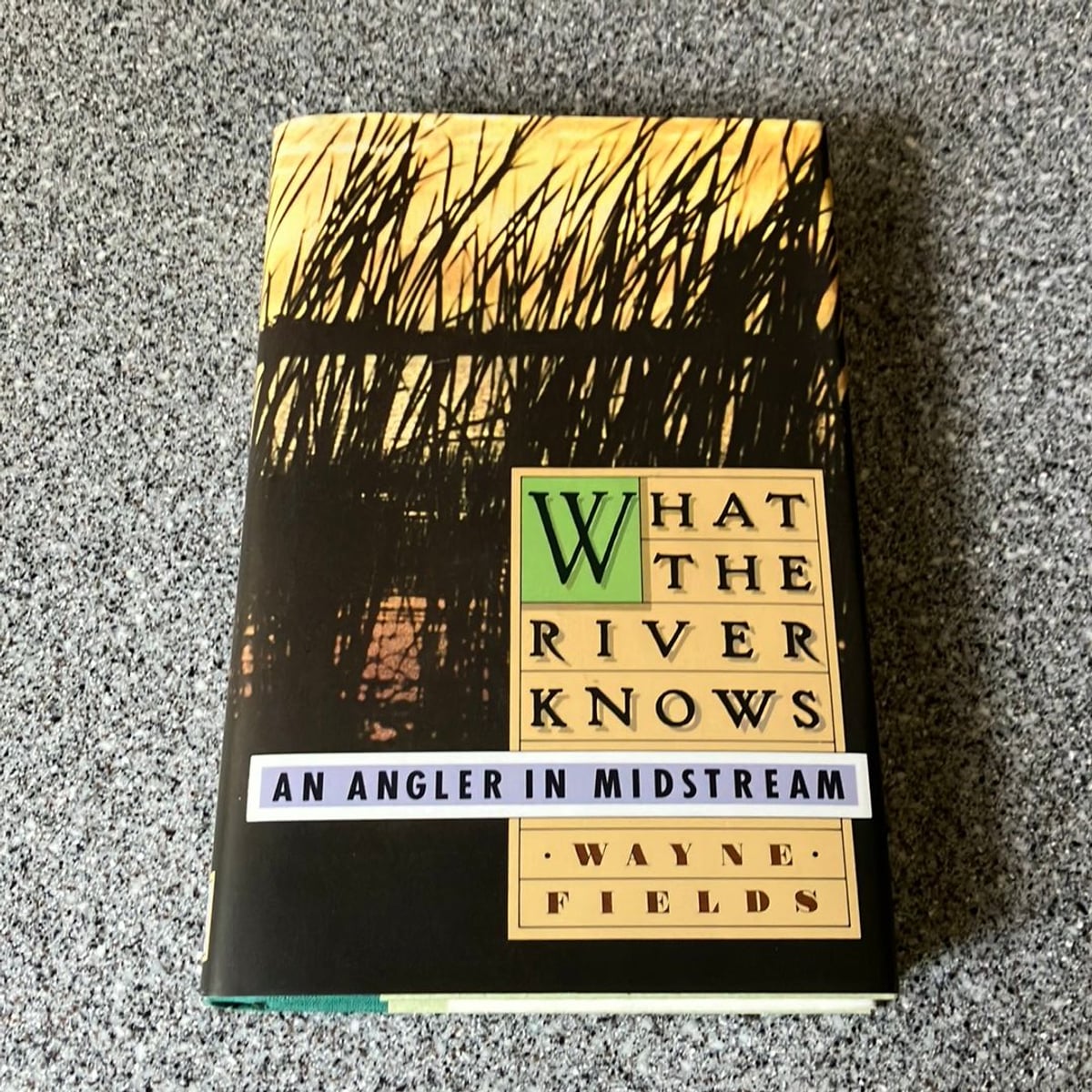 What the River Knows by Wayne Fields