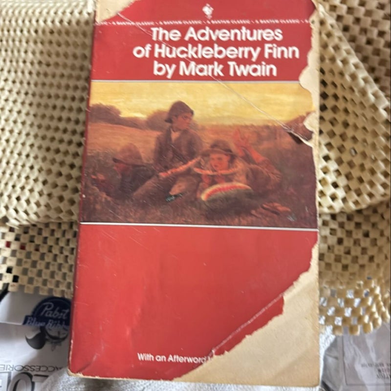 The venture of Huckleberry Finn by Mark Twain