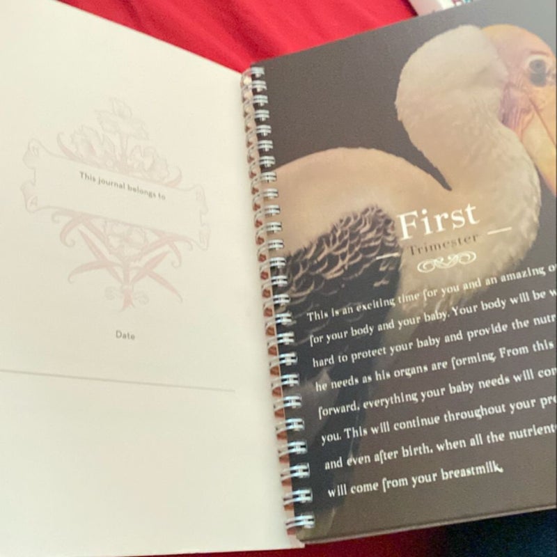 A Mothers Baby Journal