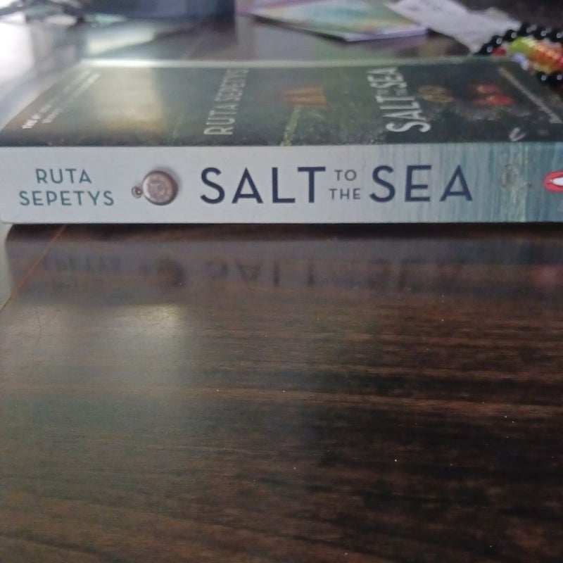 Salt to the Sea