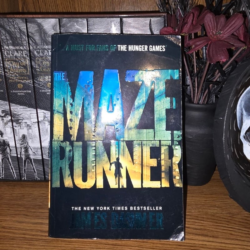 The Maze Runner