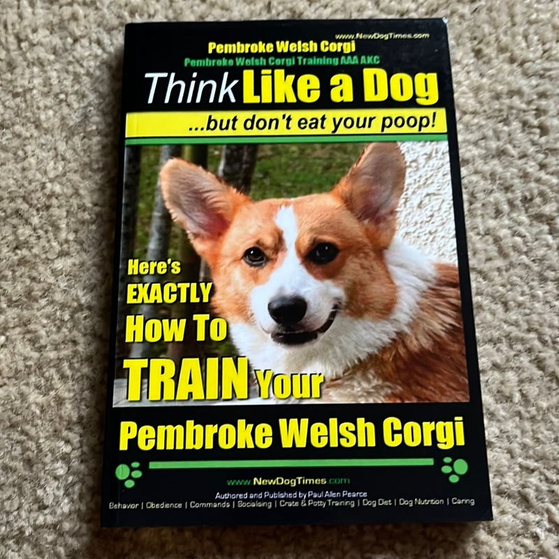 Pembroke Welsh Corgi, Pembroke Welsh Corgi Training AAA AKC: Think Like a Dog, but Don't Eat Your Poop! - Breed Expert Dog Training