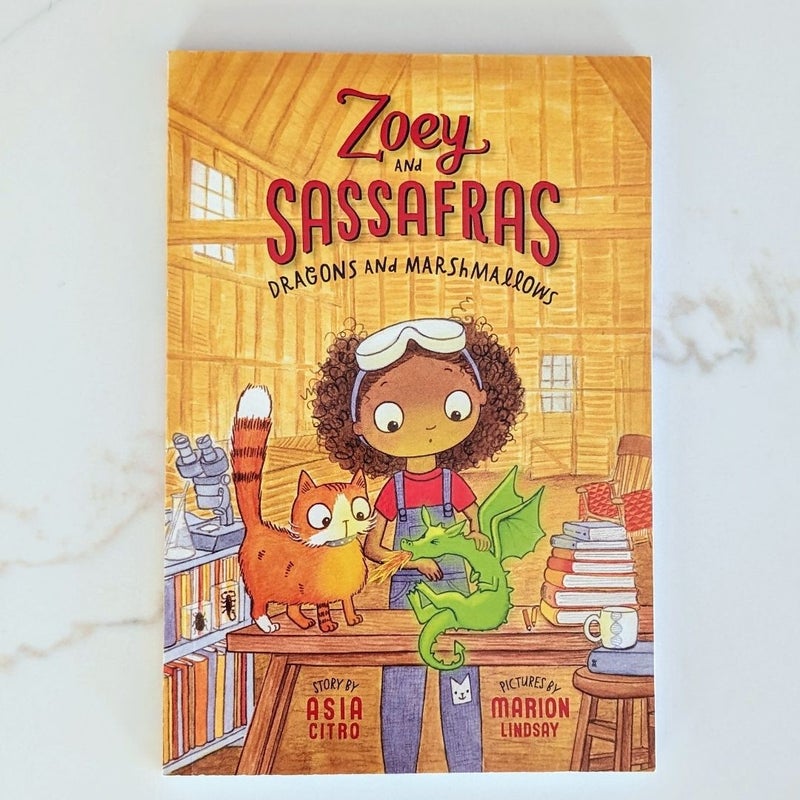Zoey and Sassafras: Dragons and Marshmallows Book 1