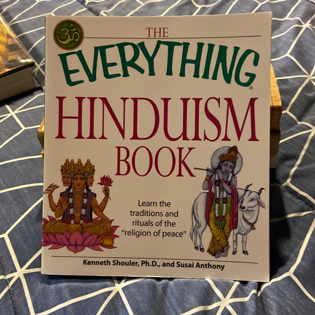 The Everything Hinduism Book By Kenneth Schouler Swami Maheshvaranand