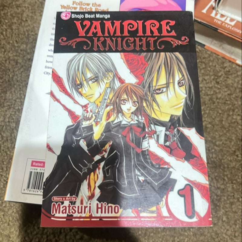 Vampire Knight, Vol. 1