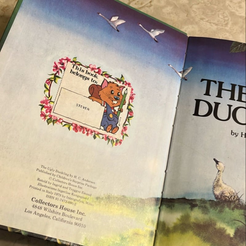 The Ugly Duckling