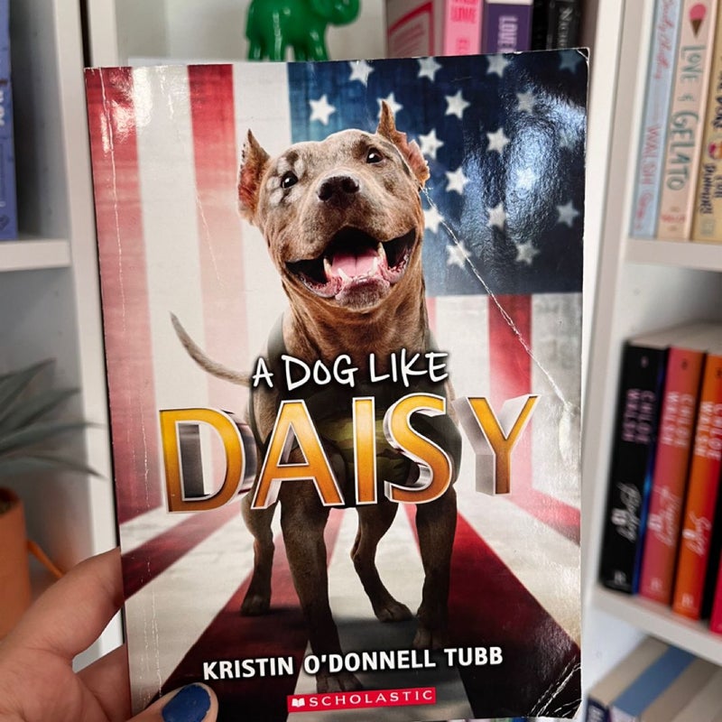 A dog like daisy 