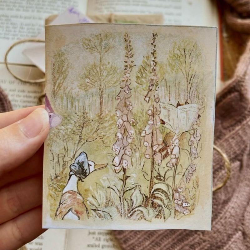 Beatrix Potter Nature Bundle