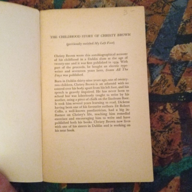The Childhood Story of Christy Brown