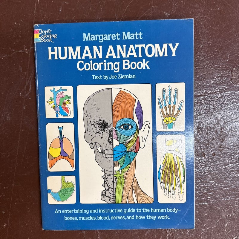 Human Anatomy