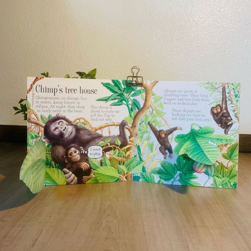 Animal Homes