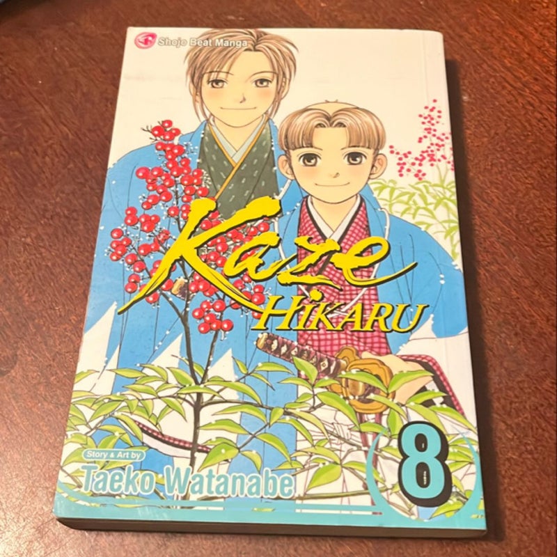 Kaze Hikaru, Vol. 8