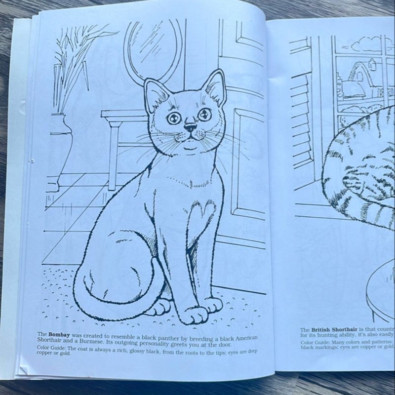 Color Your Own Cats and Kittens