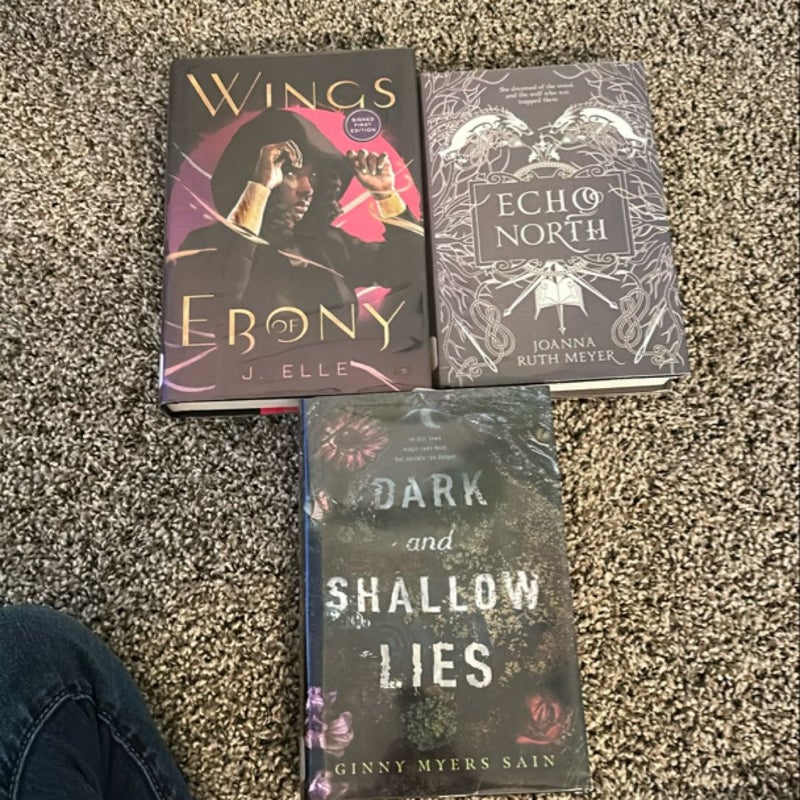 YA bundle: Wings of Ebony/Echo North/Dark and Shallow Lies