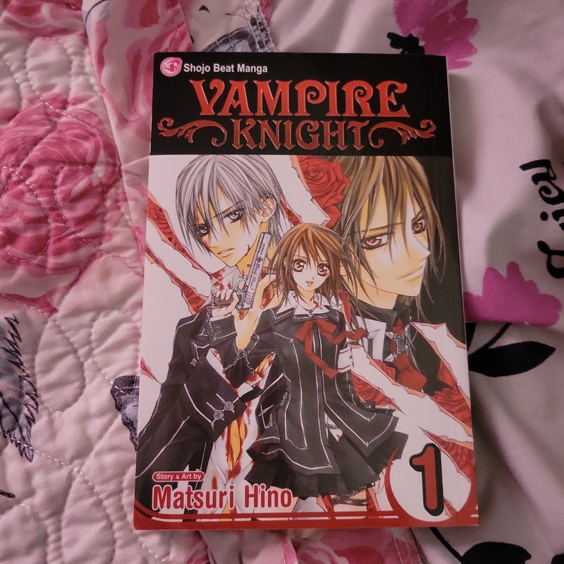 Vampire Knight, Vol. 1