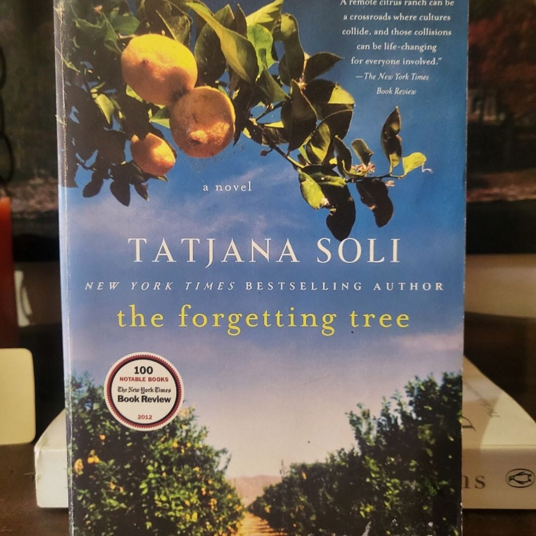 The Forgetting Tree